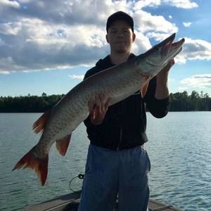 Meet your Posher, Nathan